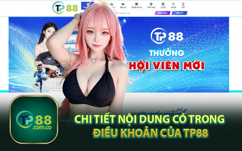 Chi Tiết Nội Dung Có Trong Điều Khoản Của TP88