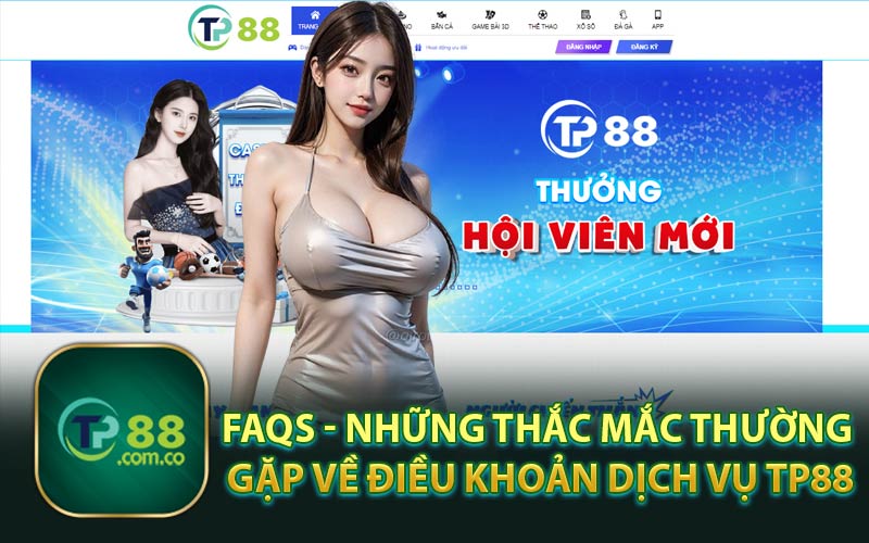 FAQs - Những Thắc Mắc Thường Gặp Về Điều Khoản Dịch Vụ TP88