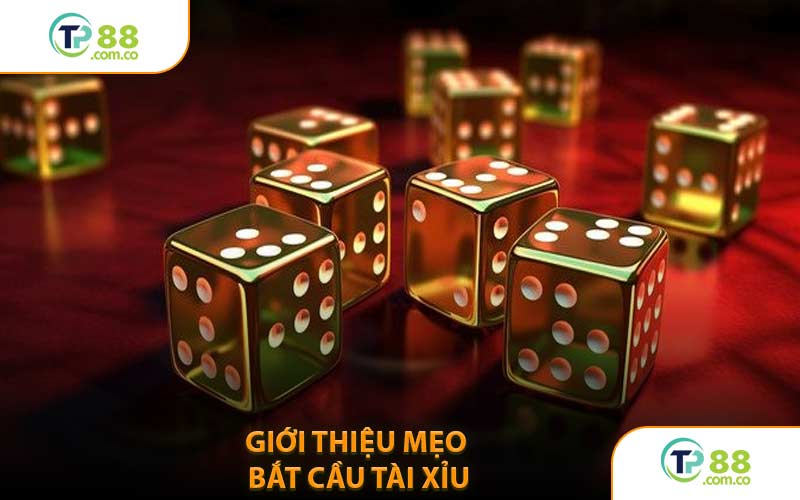 Giới Thiệu Mẹo Bắt Cầu Tài Xỉu