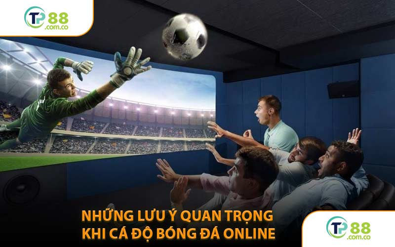 Những Lưu Ý Quan Trọng Khi Cá Độ Bóng Đá Online